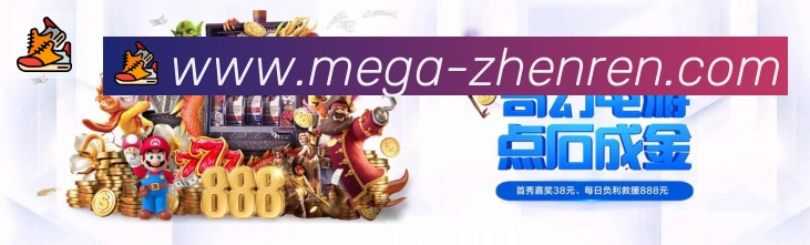 企业概况