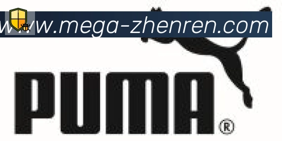 AG真人合作伙伴